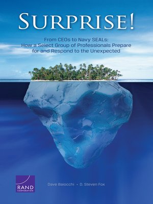 cover image of Surprise!